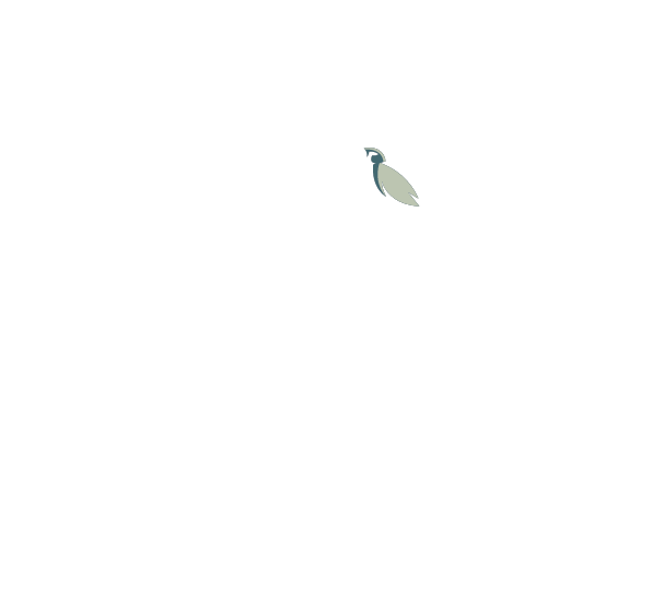 AmmerGärten Logo weiß